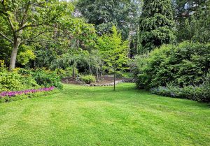 Optimiser l'expérience du jardin à Saint-Bandry